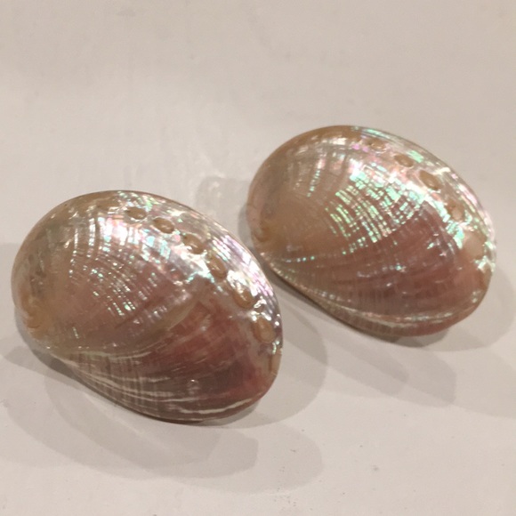 Vintage Mini Abalone Shell Earrings - Picture 3 of 6